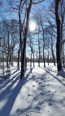 Grateful for this perfect cold and snowy morning!